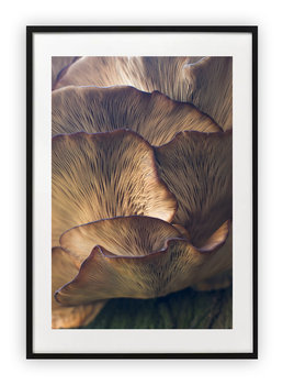 Plakat 13x18 cm Roślinność Drzewo WZORY - Printonia