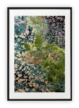 Plakat 13x18 cm Tekstura Natura WZORY - Printonia