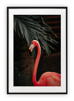 Plakat 15x21 cm Flaming Przyroda Róż WZORY - Printonia
