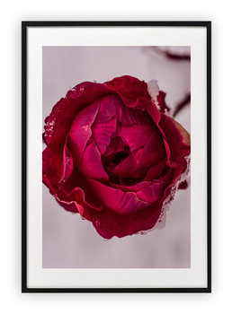 Plakat 15x21 cm Kwiaty Floral Róż WZORY - Printonia