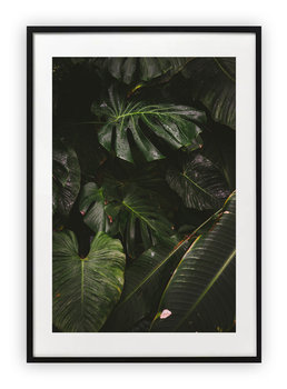 Plakat 15x21 cm Roślina Monstera Natura WZORY - Printonia