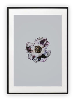 Plakat 18x24 cm Kwiat Sztuka Rysunek WZORY - Printonia