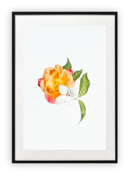 Plakat 18x24 cm Kwiaty Rośliny Natura Zieleń   WZORY - Printonia
