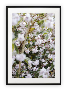 Plakat 18x24 cm Wiosna Kwiaty Biel WZORY - Printonia