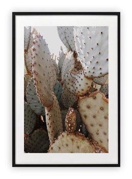 Plakat 30x40 cm Kaktus Natura Zieleń   WZORY - Printonia
