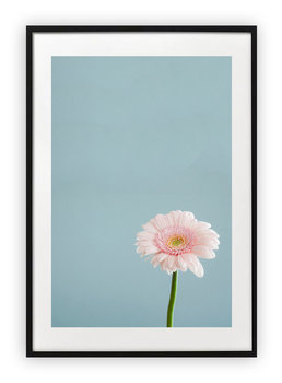 Plakat 30x40 cm Roślina Kwiat Natura  WZORY - Printonia