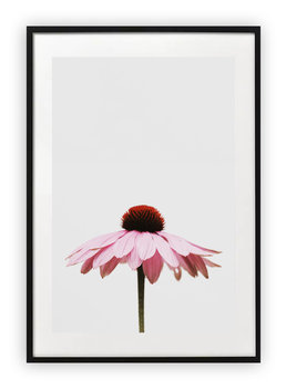 Plakat 30x40 cm Rózowy kwiatek WZORY - Printonia