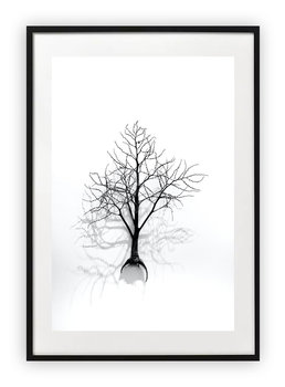 Plakat 40x50 cm Drzewo Cień Natura WZORY - Printonia