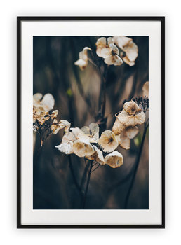 Plakat 40x50 cm Kwiat Naura Biel WZORY - Printonia