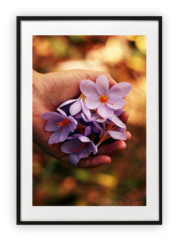 Plakat 40x50 cm Kwiaty na dłoni WZORY - Printonia