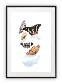 Plakat 40x50 cm Motyle Wiosna WZORY - Printonia