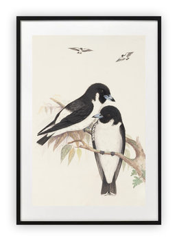 Plakat 40x50 cm Ptaszki na gałązkach WZORY - Printonia