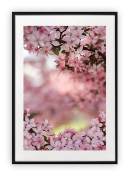 Plakat 40x50 cm Rośliny Natura Wiosna Kwiaty WZORY - Printonia