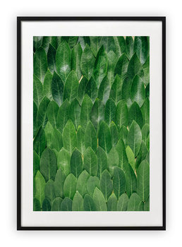 Plakat 40x50 cm Tekstura LIście Roślinność WZORY - Printonia