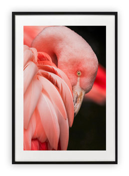 Plakat 61x91 cm  Flaming Róż przyroda WZORY - Printonia