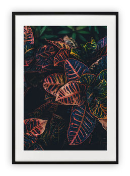 Plakat 61x91 cm  Listki liście rośliwy WZORY - Printonia