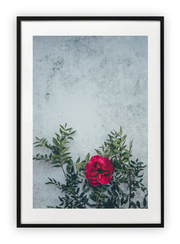 Plakat 61x91 cm  Roślina Natura Czerwień WZORY - Printonia
