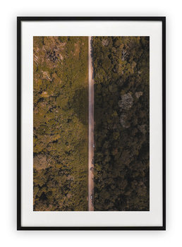 Plakat A3 30x42 cm Droga Natura WZORY - Printonia