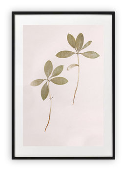 Plakat A3 30x42 cm Roślinność Natura Liście WZORY - Printonia