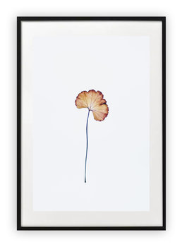 Plakat A3 30x42 cm Zieleń Kwiaty Natura Rośliny     WZORY - Printonia