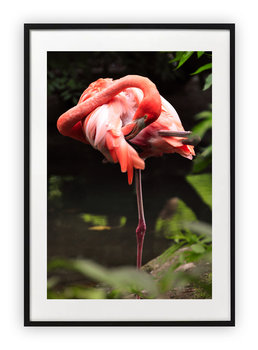 Plakat A4 21x30 cm  Flamingo  WZORY - Printonia