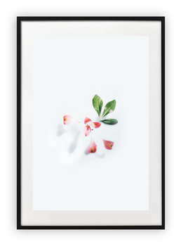 Plakat A4 21x30 cm  Natura Kwiat Zieleń Róż WZORY - Printonia