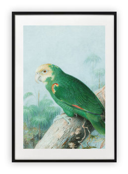 Plakat A4 21x30 cm  Papuga zielona WZORY - Printonia