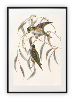 Plakat A4 21x30 cm  Ptaki gałęzie WZORY - Printonia