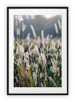 Plakat A4 21x30 cm  Roślina Natura Zieleń WZORY - Printonia