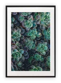 Plakat A4 21x30 cm  Rośliny zielone WZORY - Printonia