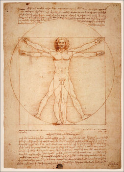 Plakat, Anatomia Leonardo da Vinci, 42x59,4 cm - Inny producent