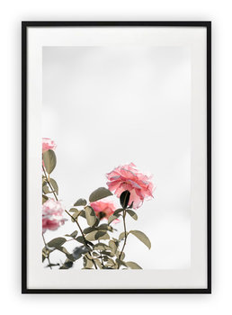 Plakat B1 70x100 cm Roślina Kwiat Zieleń WZORY - Printonia
