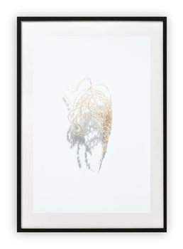 Plakat B2 50x70 cm Biel Kwiat Roślinność WZORY - Printonia