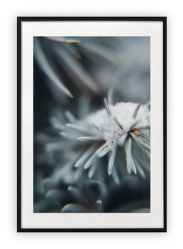 Plakat B2 50x70 cm Choinka Drzewo Śnieg Zima WZORY - Printonia