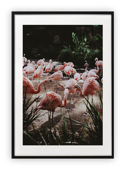 Plakat B2 50x70 cm Flamingi Flaming Przyroda WZORY - Printonia