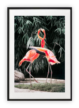 Plakat B2 50x70 cm Flamingi Natura WZORY - Printonia