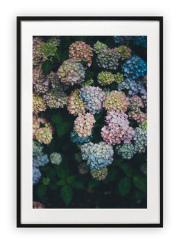 Plakat B2 50x70 cm Kwiaty Ogród Rośliny WZORY - Printonia
