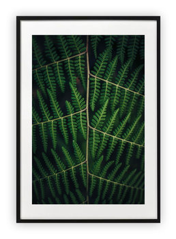 Plakat B2 50x70 cm Roślina Floral Natura Zieleń WZORY - Printonia