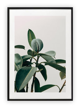 Plakat B2 50x70 cm Rośliny Ogródek Dom  WZORY - Printonia