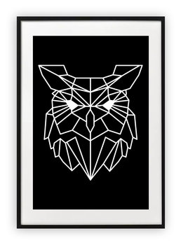 Plakat B2 50x70 cm Sowa typografia geometryczna WZORY - Printonia
