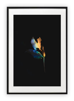 Plakat B2 50x70 cm Tęcza Hologram Roślina WZORY - Printonia