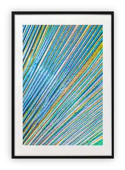 Plakat B2 50x70 cm Tekstura Abstrakcja WZORY - Printonia