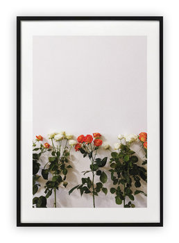 Plakat B2 50x70 cm Wiosna Kwiaty Rośliny WZORY - Printonia
