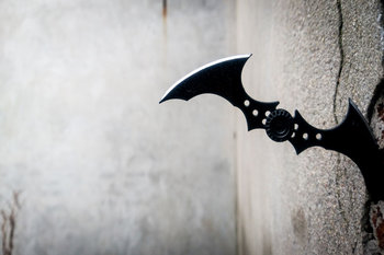 Plakat, Batman Arkham City - Batarang, 59,4x42 cm - Inny producent