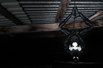 Plakat, Black Spider-Man, 59,4x42 cm - Inny producent