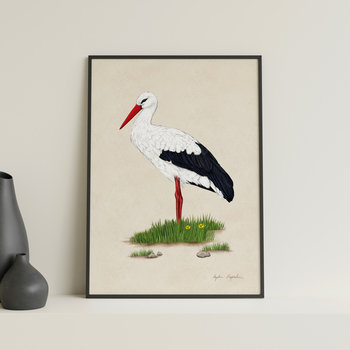 Plakat Bocian Biały  21X30, Polskie Ptaki, Zwierzęta, Autorska Ilustracja, Dekoracja - TukanMedia