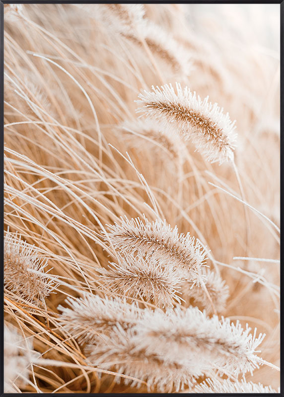 Plakat Boho Złociste Zboże 1 - 70x100 cm - Posteracademy | Sklep EMPIK.COM