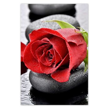 Plakat Czerwone róże Kamienie, 40x60 cm - ZeSmakiem