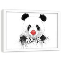 Plakat dekoracyjny w ramie białej FEEBY Czerwony nos i muszka panda, 100x70 cm