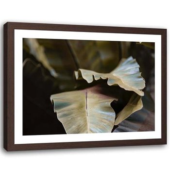 Plakat dekoracyjny w ramie brązowej FEEBY Egzotyczne liście, 70x50 cm - Feeby